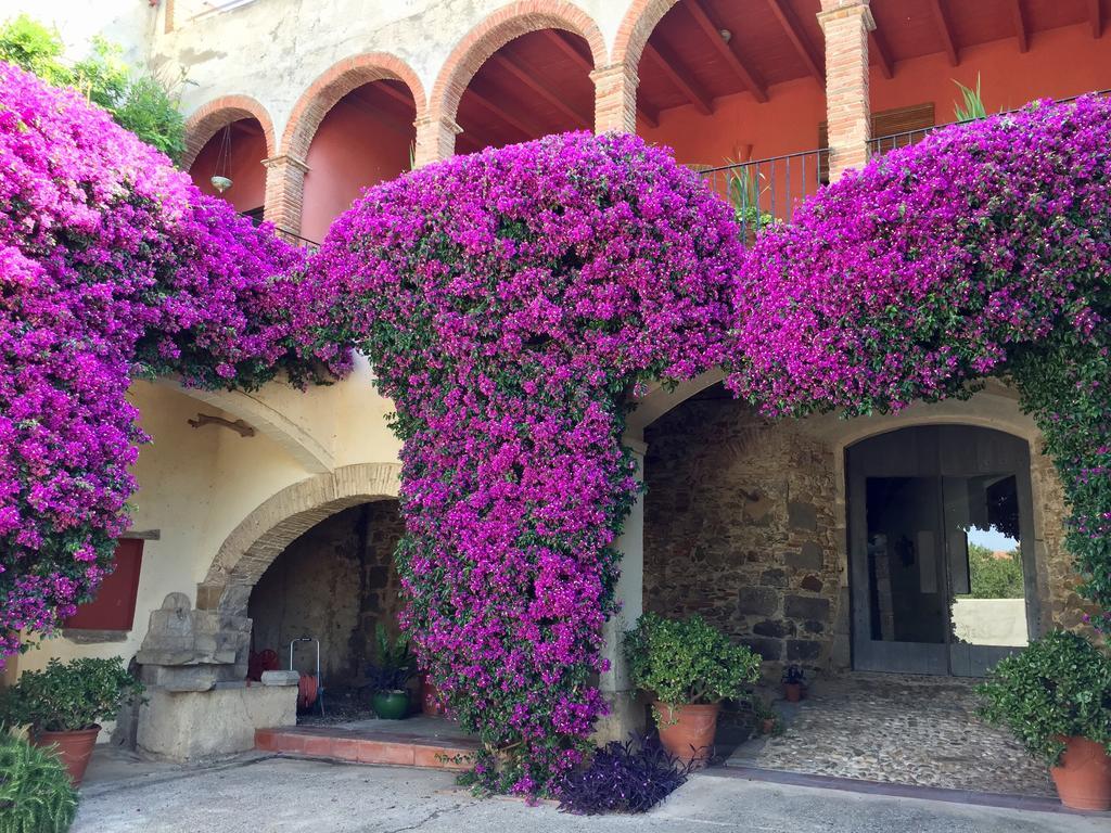 Apartaments Can Gibert Castello  D'Empuries Esterno foto